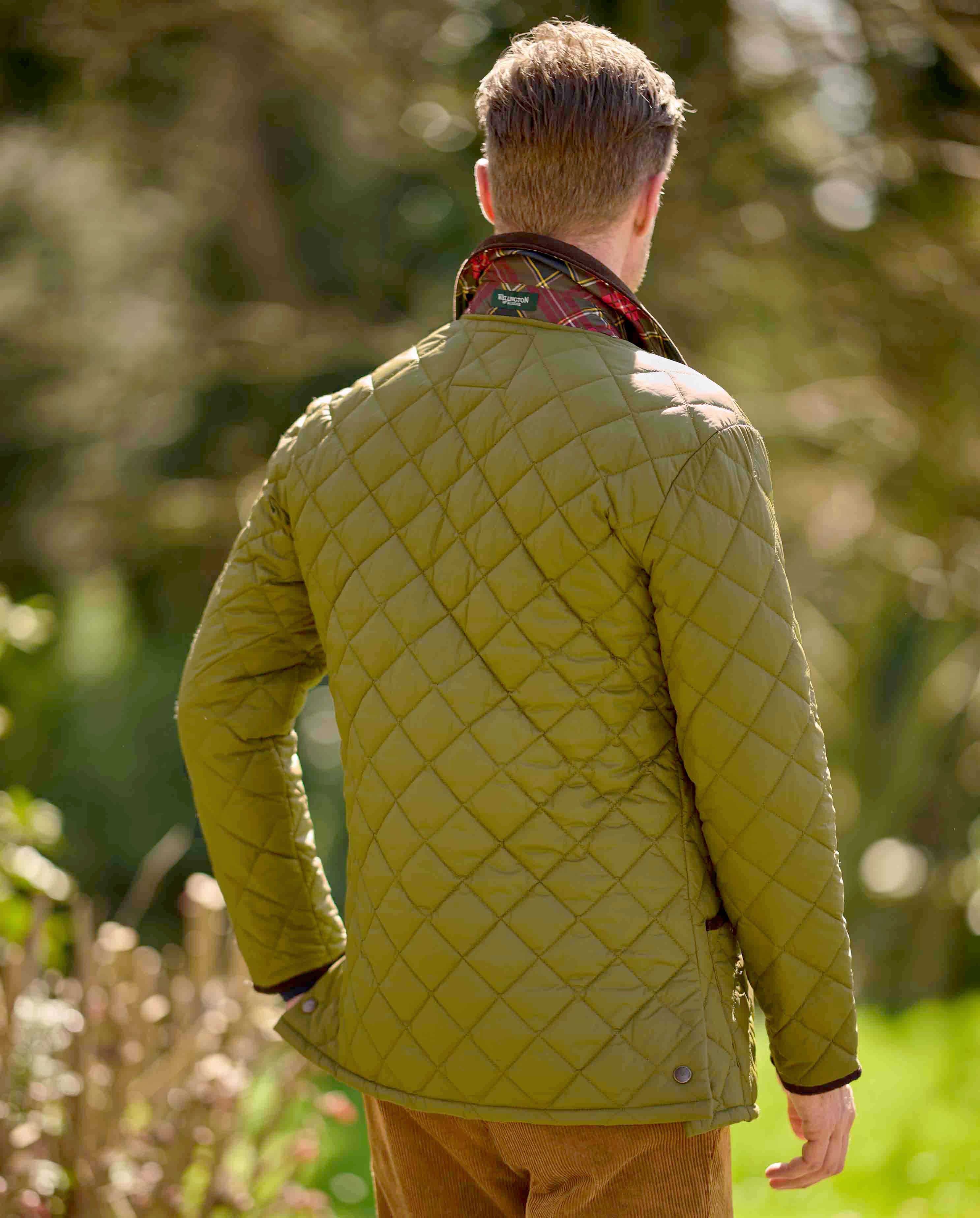 Men's quilted jacket ''York'' in sage