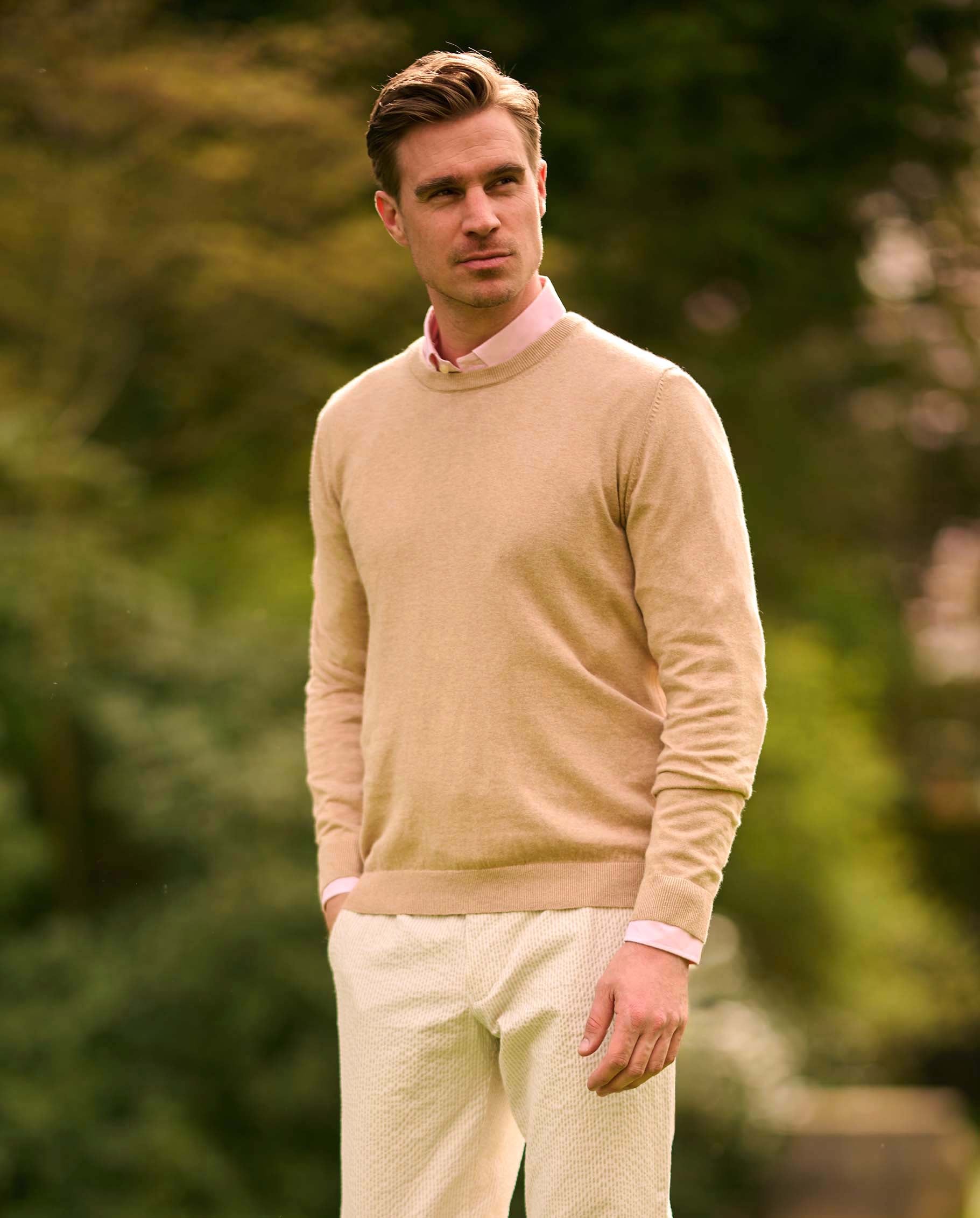 Herrenpullover Rundhals ''Till'' in beige