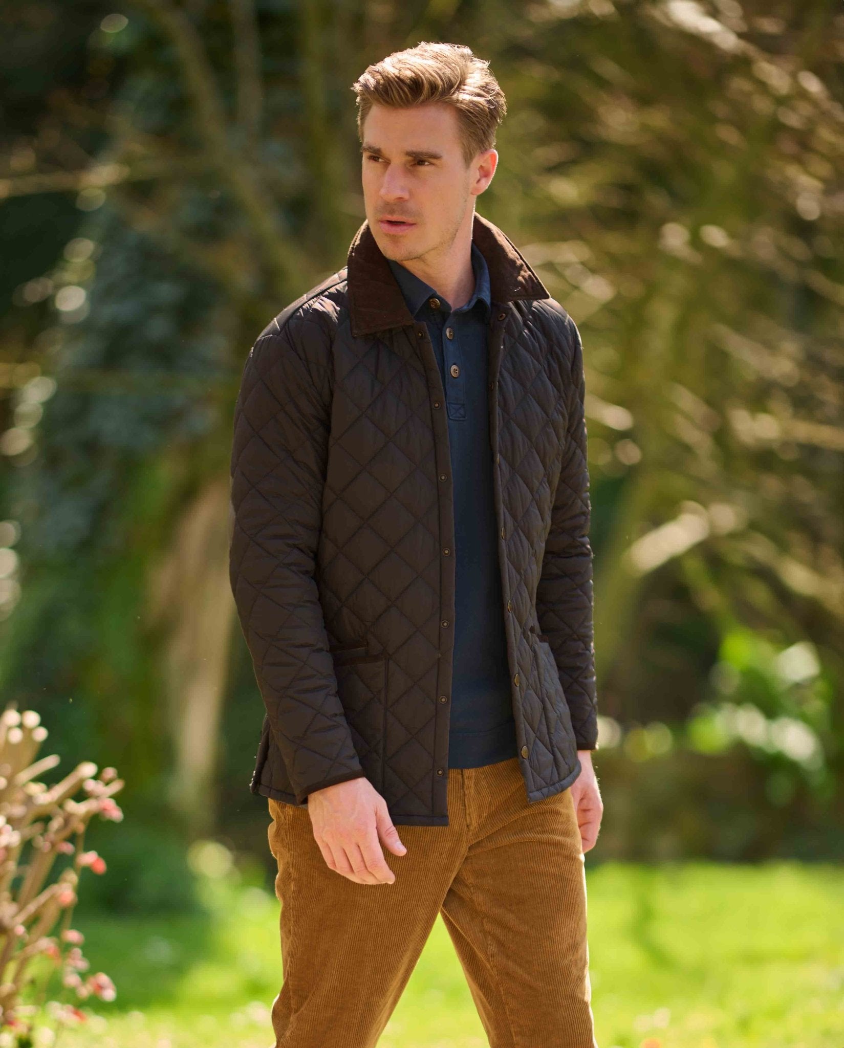 Herren Steppjacke ''York'' in anthra - Wellington of Bilmore